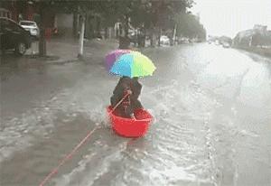 新时代河北,机遇与挑战并存的发展之路