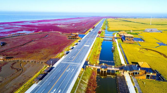 盘锦,活力与潜力并存的繁荣之城